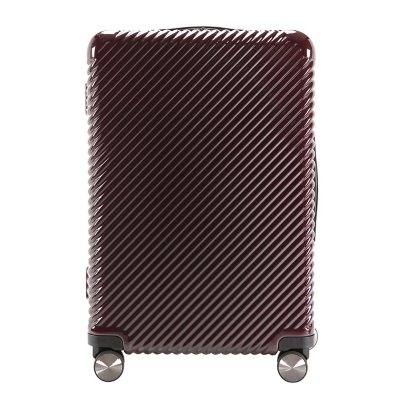 Ecotech Veer Hardside Travel ABS Luggage:- 24', Chocolate