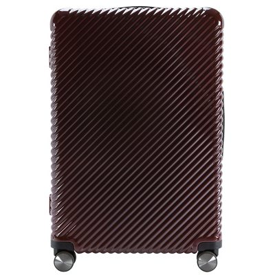 Ecotech Veer Hardside Travel ABS Luggage:- 28', Chocolate
