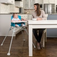 Regalo My Portable High Chair with Feeding Tray (Choose Your Color)