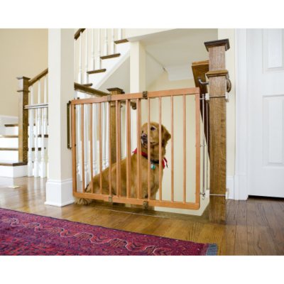 Big pet outlet gates