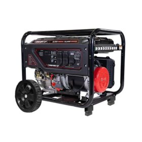 Troy-Bilt 49-State Portable Gas-Powered Generator, 10,000 Staring Watts