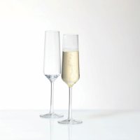Schott Zweisel Tritan Pure Champagne Collection, Set of 8