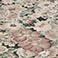 Green/Multi, variant on Laura Ashley Eliza 6'6"x9'6" Area Rug, Assorted Styles