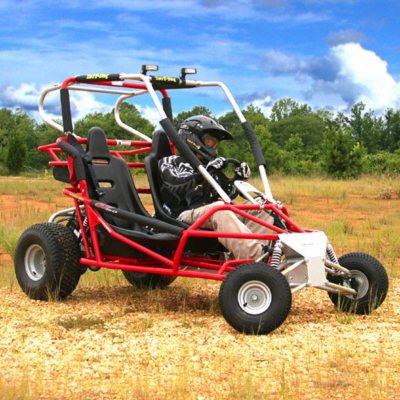 Yerf dog go kart 150cc 2 seater sales
