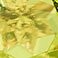 Peridot, variant on Round Cut Gemstone & 0.13 CT. T.W. Halo Diamond Stud Earrings in 14K Gold