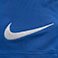 Royal Blue/White, variant on Nike Dri-Fit Park 3 Youth Short