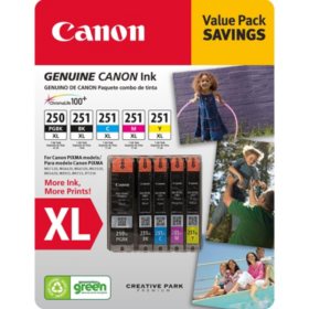 Canon PGI-250XL/CLI-251 XL Ink Tank Catridge, Black/Cyan/Magenta/Yellow/Pigment Black (5 pk.)