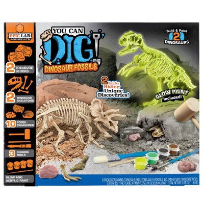 dig dinosaur bones toy