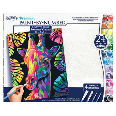 ArtSkills Paint-by-Number, Select a Style - Sam's Club