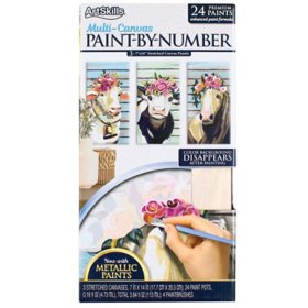 ArtSkills Paint By Number Kit, Canvas Triptych, Assorted Styles