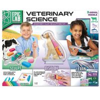 ArtSkills Epic Lab Veterinary Science STEM Anatomy Clay Kit