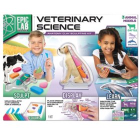 ArtSkills Veterinary Science Animal Anatomy STEM Kit for Kids