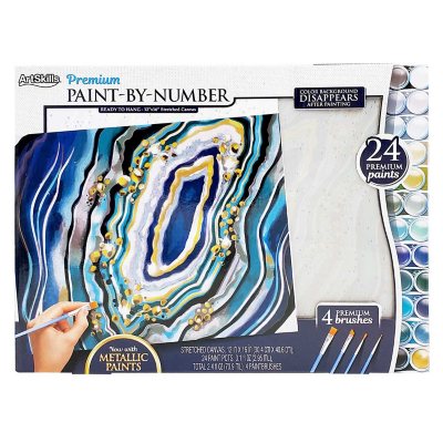 ArtSkills 12" x 16" Paint by Number Art Kit, Select Design Sam's Club