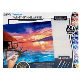 ArtSkills 12" x 16" Paint by Number Art Kit, Select Design