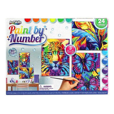 ArtSkills Tropical Paint By Number 3 Canvas Panel Set