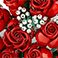 Red, variant on LEGO Icons Bouquet of Roses Building Set, 822 pcs.