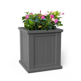 Mayne Cape Cod 16" Square Planter