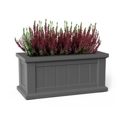 Mayne Cape Cod 24" x 11" Rectangle Planter