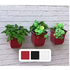 Mayne Valencia 8 Inch Wall Mount Planter 3-Pack, Assorted Colors