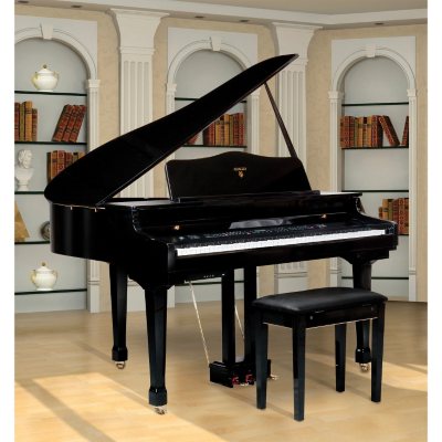 Adagio 41\ Digital Baby Grand PianoAdagio 41\ Digital Baby Grand Piano  