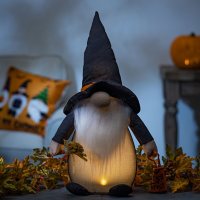 20.08" Lighted Plush Halloween Witch Gnome