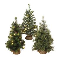 Assorted Lighted Pine Trees (Set of 3)
