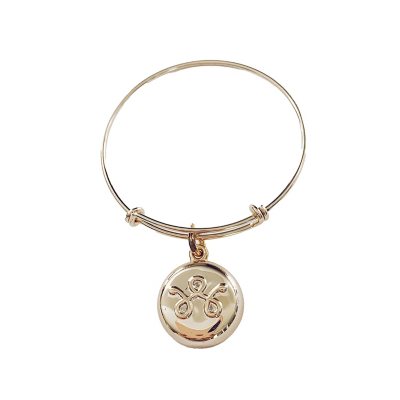 Alex and ani pharmacy on sale bracelet