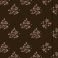 Brown - Online Only, variant on BILA Women's Printed Pintuck Long Sleeve Cotton Top