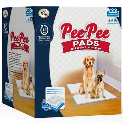 Members mark dog pads best sale