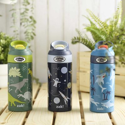Zak Designs 14-oz Stainless Steel Vacuum Insulated Water Bottle, 2-piece set