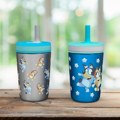 Zak Designs 12-oz. Stainless Steel Double-Wall Tumbler for Kids