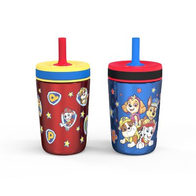 Zak Designs 12-oz. Stainless Steel Double-Wall Tumbler for Kids with  Antimicrobial Straw, 2-Piece Set (Assorted Colors)