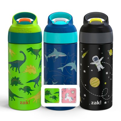 Zak Designs Antimicrobial 14-oz. Stainless Steel Vacuum Insulated Kids Riverside Bottle, 2-Piece Set (Assorted Colors)