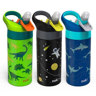 Zak Designs 14 oz Kids Water Bottle Stainless Steel Vacuum Insulated for Cold Drinks Indoor Outdoor, Shells, Beige