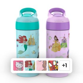 Zak Designs Antimicrobial 14-oz. Stainless Steel Vacuum Insulated Kids Riverside Bottle, 2-Piece Set (Assorted Colors)	