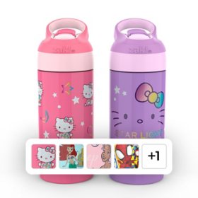 Zak Designs Antimicrobial 14-oz. Stainless Steel Vacuum Insulated Kids Riverside Bottle, 2-Piece Set, Choose Color	