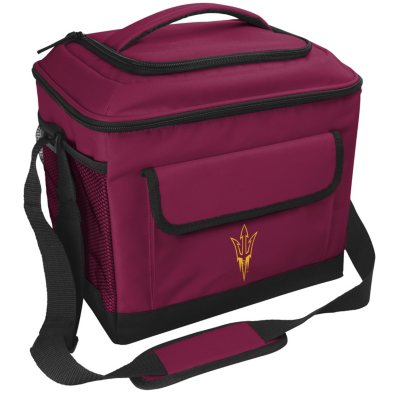 sam's insulated cooler bag