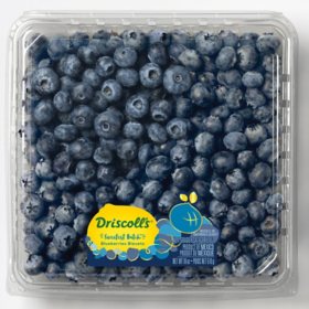 Driscoll's Sweetest Batch Blueberries, 18 oz.