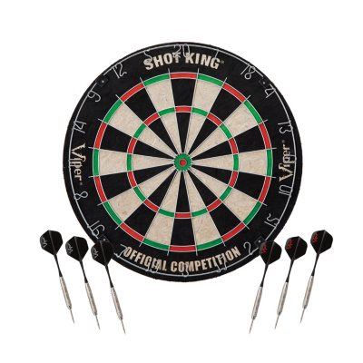 The 10 Best Dartboards You Can Buy (For Steel Tip Darts)