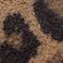 Leopard, variant on Sperry Girls Boat Shoe