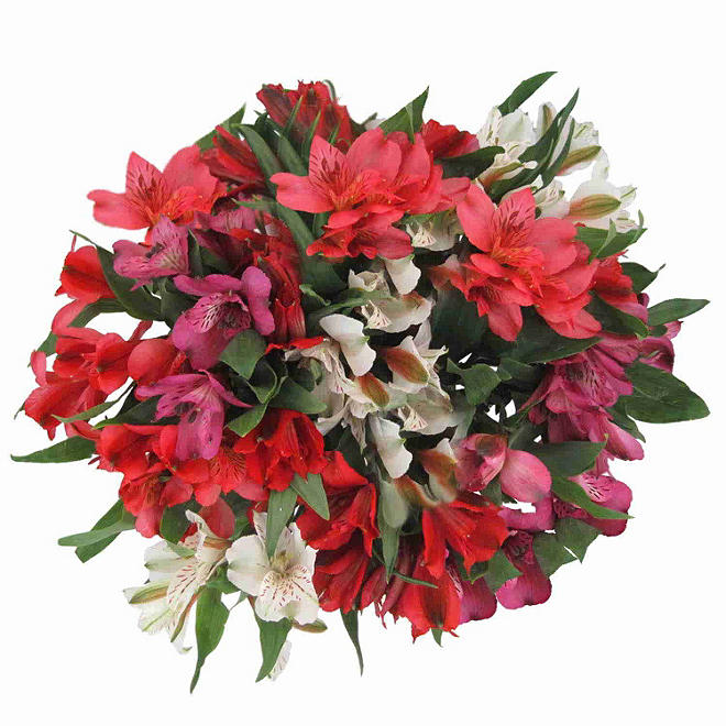 Member's Mark Alstroemeria Color and variety may vary, 10 stems