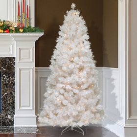 National Tree Company 7.5' Wispy Willow White Slim Tree with Clear Lights