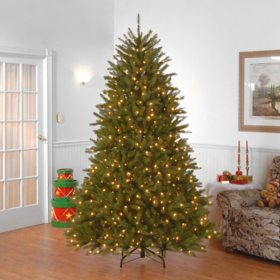 National Tree Company 9' Dunhill Fir Pre-Lit Christmas Tree