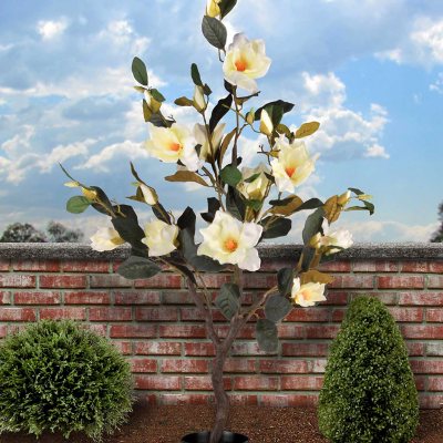 48 In Artificial Magnolia Tree With White Flowers And Black Round Pot Base 