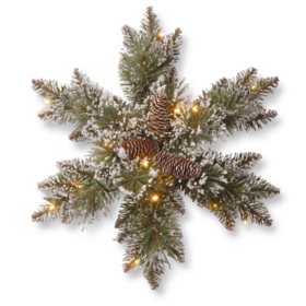 18" Glittery Bristle Pine Snowflake with Warm White LED Lights