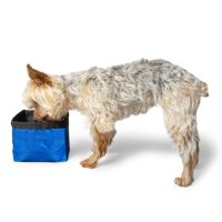 Premier Pet Travel Water or Food Bowl for Dogs or Cats (8 cup capacity)