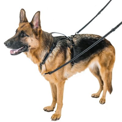 sam's club wireless dog fence