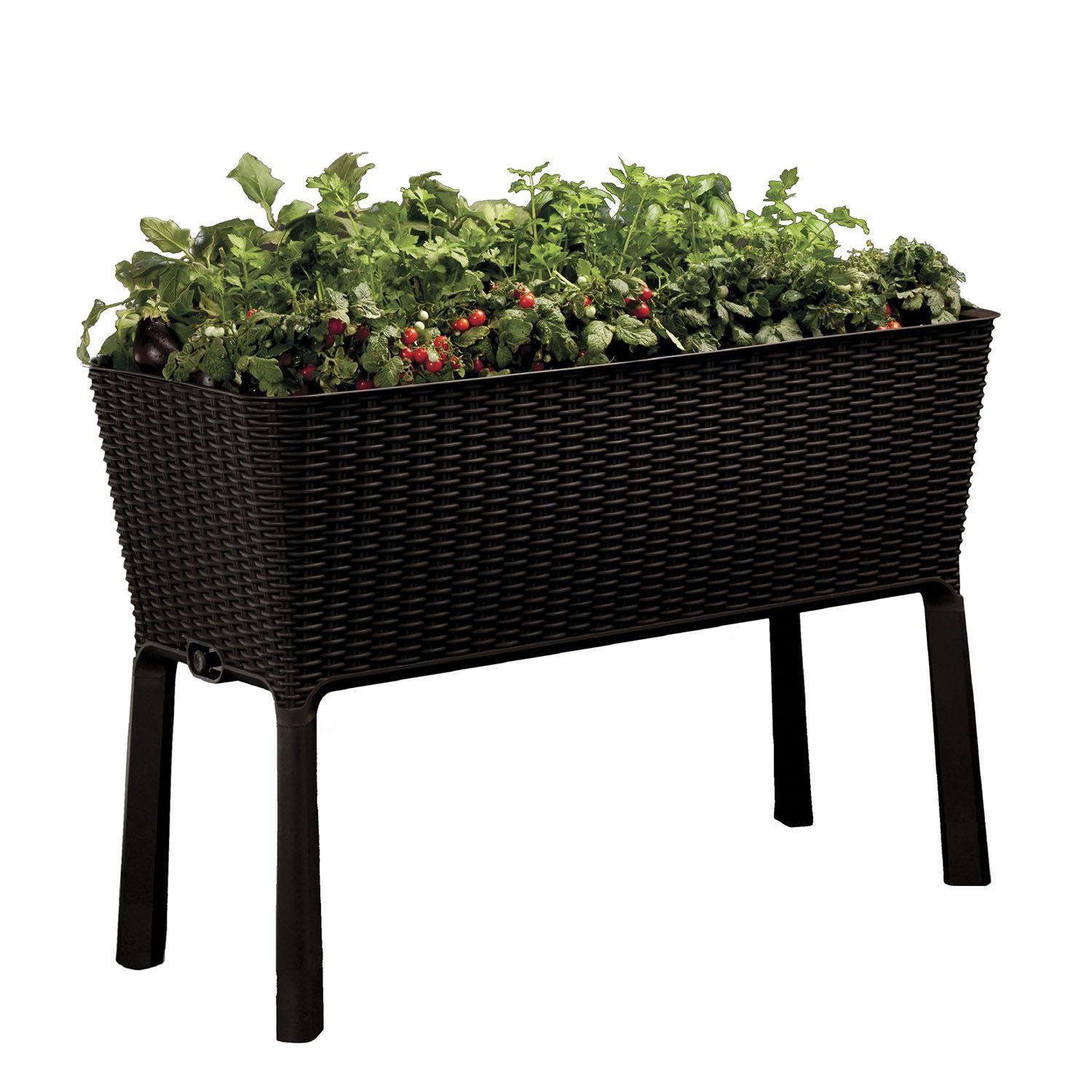 Keter Elevated Garden Bed with Dividers