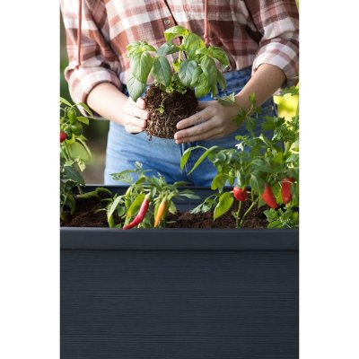 Keter XL Urban Bloomer Resin Elevated Planter Raised Garden Bed dealepic