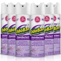 OdoBan Disinfectant Spray, 14.6 oz./can, 6 pk. (Choose Scent)
